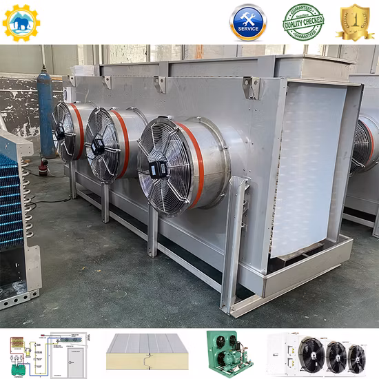 Pompe de piscine 2 pouces 5.5HP pompe à eau à gaz refroidie par air (TP20CX)